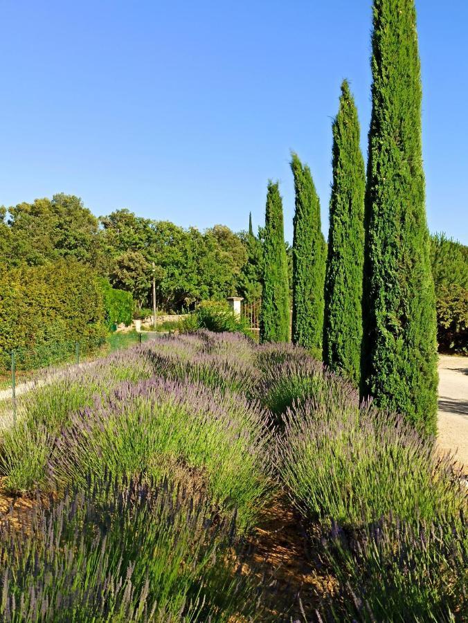 Bed and Breakfast La Bastide De Cocagne Rognes Exterior foto